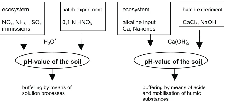 Fig. 6. Experiments on acidification and alkalination by means of atmospheric input after Meiwes, 1984.