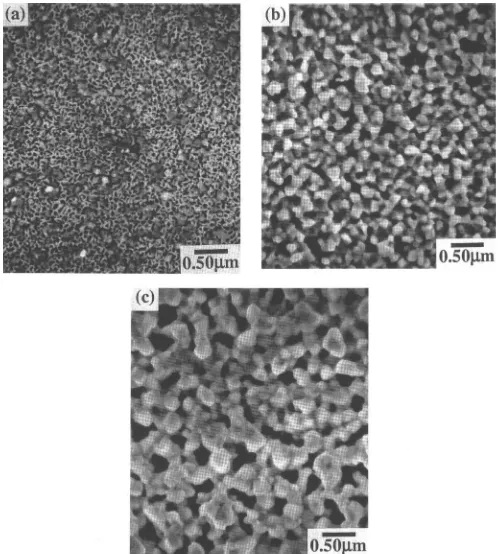 FIG. 4. Seconaary electron SHM photomicrographs of 300 nm thick films deposited at (a) 100 °C, (b) 150 °C, and (c) 200 °C after etchingin NaOH to remove the Al-rich phase and expose the underlying Ge-rich phase.