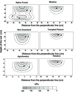 Fig. 3. Transmission of stress produced during autumn in a Hapludand submitted to different management systems.