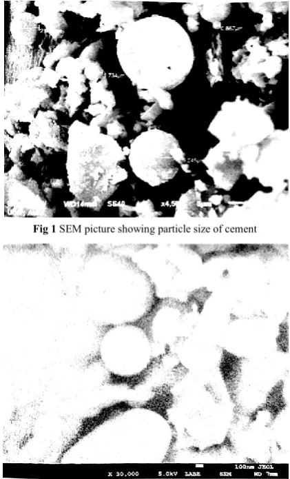 Fig 1 SEM picture showing particle size of cement 