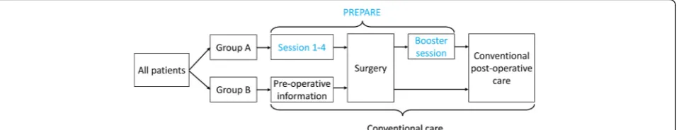 Fig. 2 Overview of the intervention groups