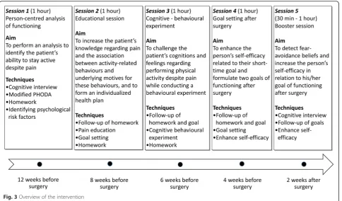 Fig. 3 Overview of the intervention