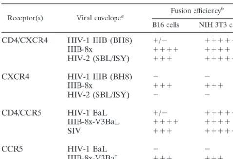 TABLE 1. Viral proteins and receptors examined in this study