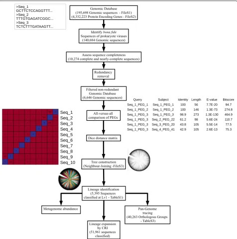 Fig. 1 Flowchart summarizing the methodology used to establish GL-UVAB. The initial dataset of genomic sequences consisted of the NCBIRefSeq and viral genomic sequences obtained through culturing independent approaches adding up to 195,698 genomic sequence