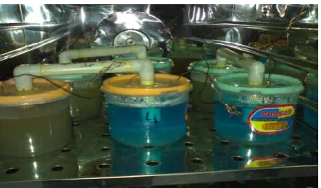 Figure 4 MFCs for permeabilizer effect testing placed in incubator 
