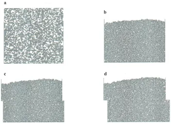 Fig. 3. Snapshots of the simulation results: before consolidation by gravity force (a), shear displacement : 0 mm (b), 2 mm(c), and 4 mm (d).
