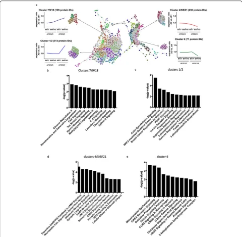 Fig. 5 Clusters of protein changes. a Graphia Professional representation of proteomic abundance data across differentially vulnerable synapticpopulations