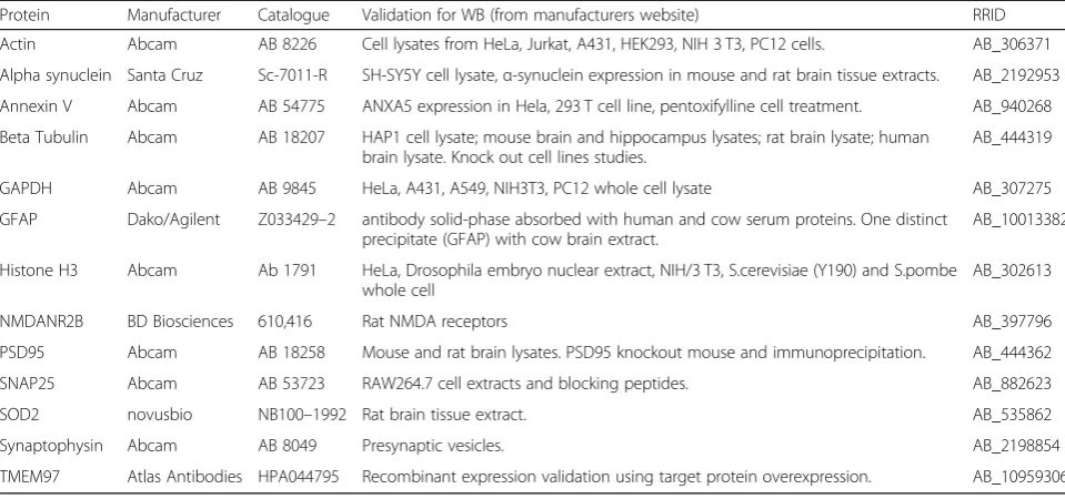 Table 2 Antibodies used for Western blots