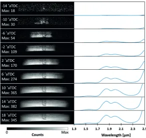 Figure 12. Images and spectra recorded simultaneously at nine crank angles within a single en-gine cycle