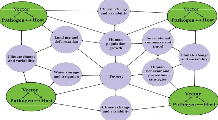 FIG. 1.3: THE VECTOR-BORNE DISEASE EPISYSTEM ILLUSTRATING INTERACTIONS BETWEEN SELECTED ENVIRONMENTAL FACTORS WITH EFFECTS ON THE VECTOR–PATHOGEN–HOST EPIDEMIOLOGIC CYCLE [MODIFIED FROM SUTHERST (SUTHERST, 2004)]