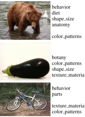 Table 2: Human-authored attributes for bear, eggplant, and bike.