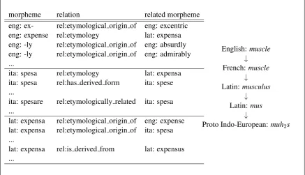 Figure 1: Sample entries from the Etymological WordNet, and a few etymological layers