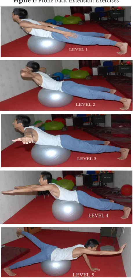 Figure 1: Prone Back Extension Exercises