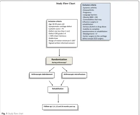 Fig. 1 Study flow chart