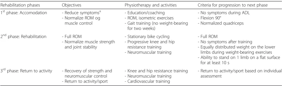 Table 2 Rehabilitation protocol (identical for both groups)