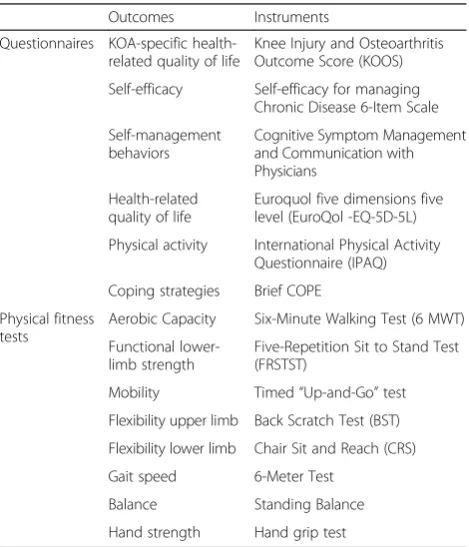 Table 2 Outcomes and instruments