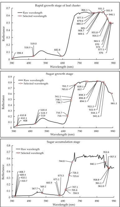 Figure 8. The selected key wavelengths marked by a square for the three studies growth stages,  resulted from competitive adaptive reweighted sampling algorithm (CARS)
