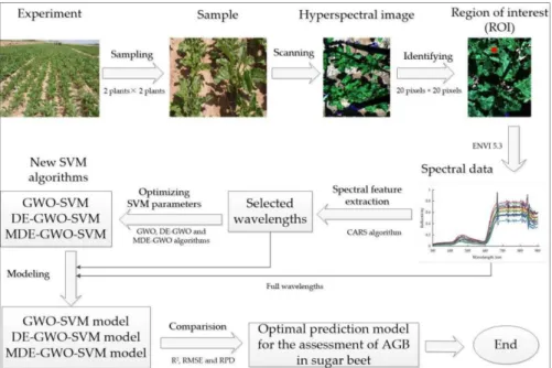 Figure 4. Main steps of above-ground biomass (AGB) prediction of sugar beet using hyperspectral  imaging data