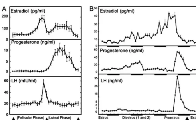 FIG. 2. Patterns of estradiol, progesterone, andLH inhuman (A) and rat (B) during the reproduc-