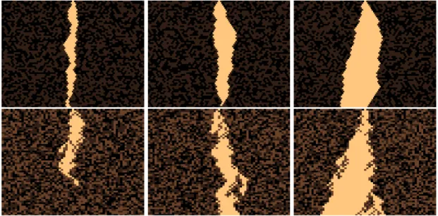 Figure 5.1 Illustrations of avalanches. Three randomly selected examples of avalanches for systems with co-ordination numbers K = 2 (top row) and K = 3 (bottom row), with avalanche sizes s = 201; 406; 802 and s = 201; 404; 805 respectively