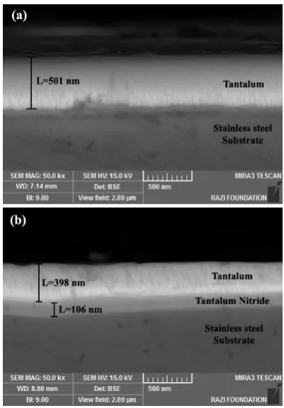 Figure 1.  SEM images of the typical cross section of (a) Ta single layer and (b) Ta/TaNx double layer thin film 