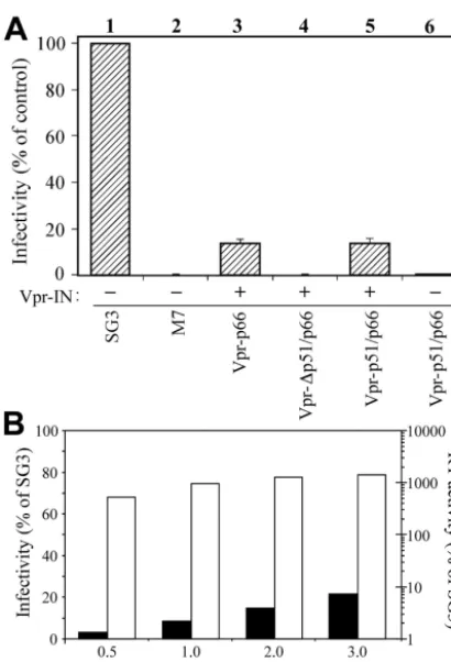 FIG. 3. transor without ((A) Analysis of infectivity. Transfection-derived viruses were analyzedfor infectivity using the TZM-bl reporter cell line as described inMaterials and Methods