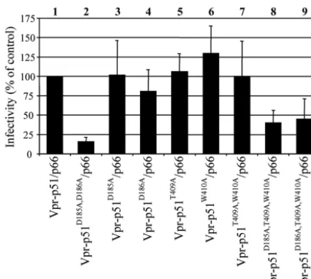 FIG. 7. Analysis of putative interactions of p51 D185/D186. Virionscontaining p51 mutations at amino acid residues within interacting