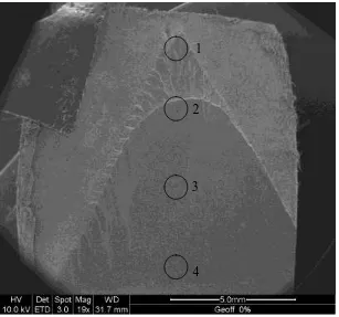 Figure 5.3: Locations of SEM analysis, 0% glass powder 