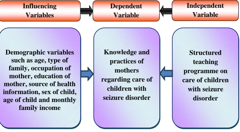 Figure. 3 The Schematic Representation of the Variables 