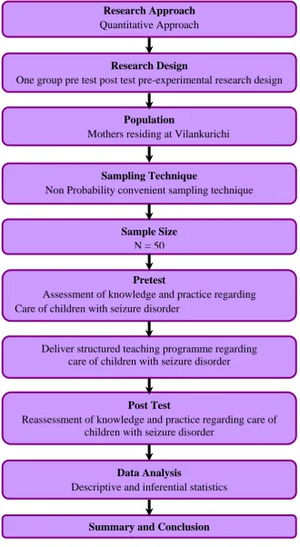 Figure. 4 The Overall View of Research Methodology 