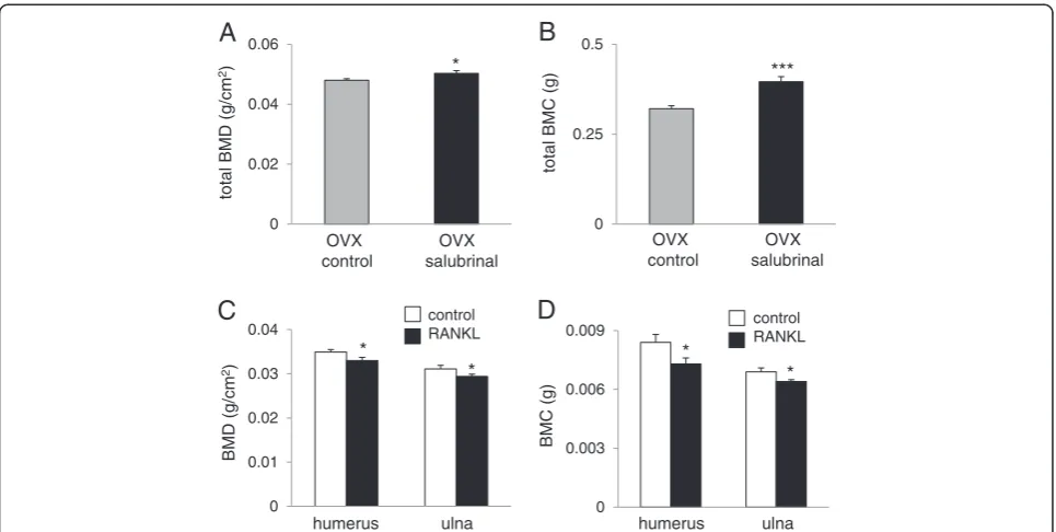 Figure 1 Determination of BMD and BMC in the OVX mice and RANKL-injected mice. A: Increase in BMD (g/cm2) of the OVX mice bysalubrinal (N = 8)
