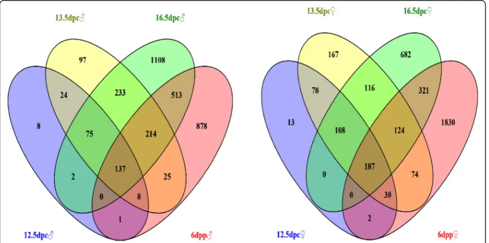 Fig. 1 Venn diagram of genes with higher expression in murine male (left) and female (right) gonads at different stages of development
