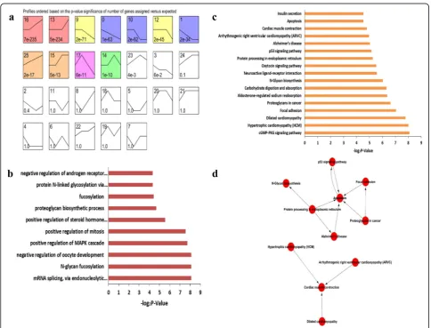 Fig. 3 Time series cluster analysis of gene expression during female gonadal development.gonads were separated into 26 possible model profiles, including 11 with significant changes in gene expression.in profile 25 from the female gonad