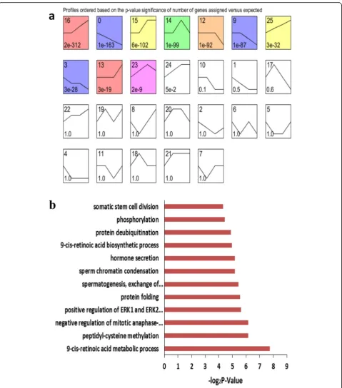 Fig. 4 Time series cluster analysis of gene expression during male gonadal development