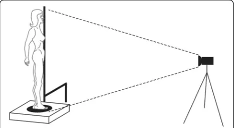 Fig. 1 The image acquisition system