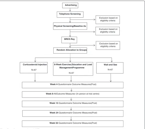 Fig. 5 Flow of participants through RCT