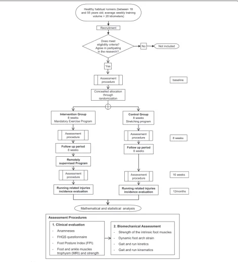 Fig. 1 Flow chart of the study’s design