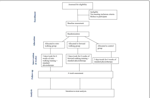 Fig. 1 Flow of participants through each stage of the randomized trial