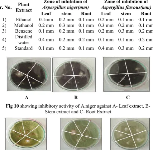 Fig 10 showing inhibitory activity of A.niger against Ashowing inhibitory activity of A.niger against A- Leaf extract, B- 