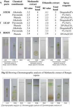Fig 12 Showing Chromatographic analysis of Methanolic extract of Rungia 