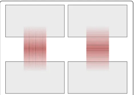 Fig. 3 Schematic sketch of muscle group (red – muscle with fiberorientation, grey – partial plastination area): left: parallel group; right:perpendicular group