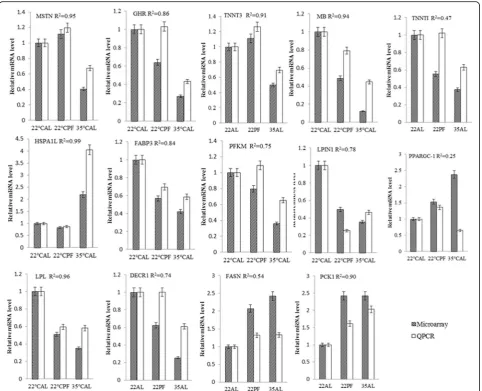 Fig. 2 Correlations between relative abundance of selected transcripts determined by qPCR and gene chips