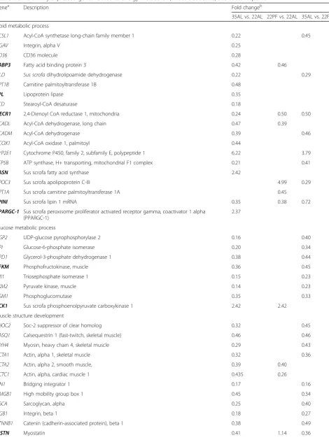 Table 2 Differentially expressed genes related to energy metabolism, muscle structure, and stress response
