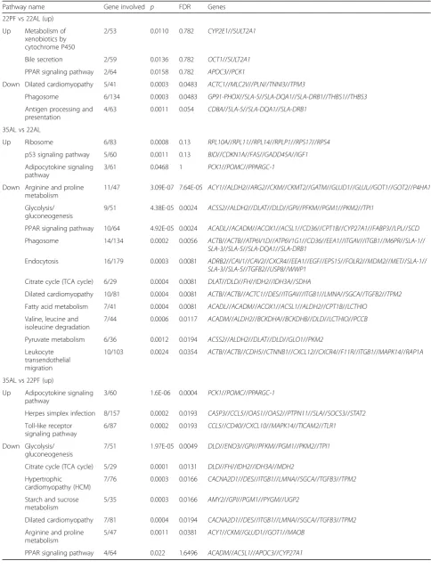 Table 3 Significant KEGG pathway analysis