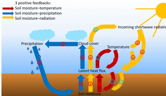 Figure 9. Soil moisture–atmosphere feedbacks. The plus and minus indicate positive and negative feedback loops, respectively
