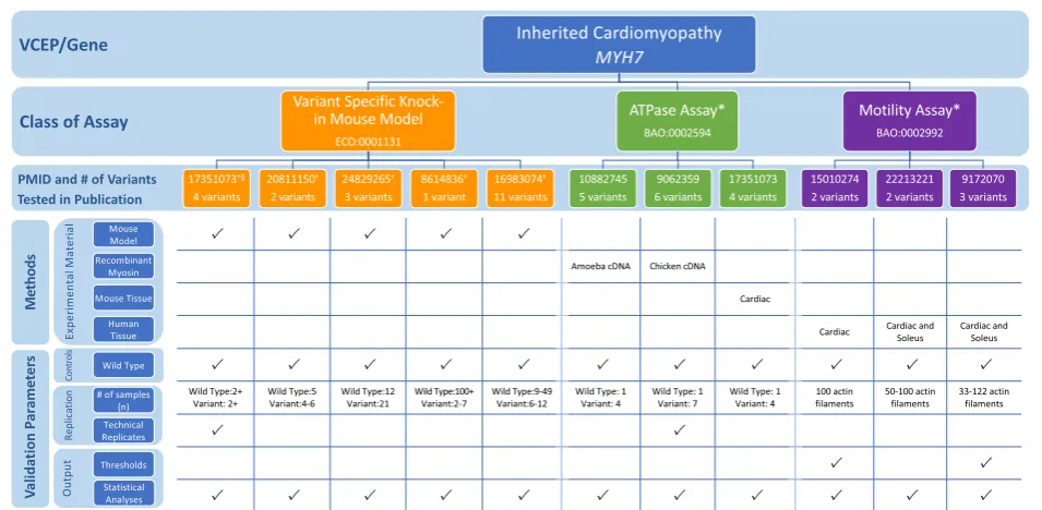 Fig. 4 Representative findings from the curation of specific instances of MYH7 functional assays