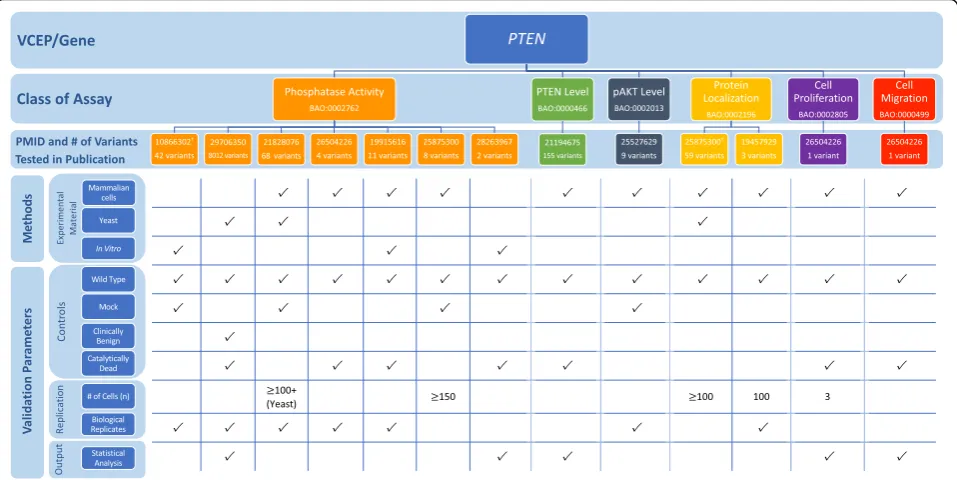 Fig. 6 Representative findings from the curation of specific instances of PTEN functional assays