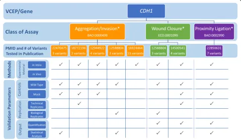 Fig. 2 Representative findings from the curation of specific instances of CDH1 functional assays