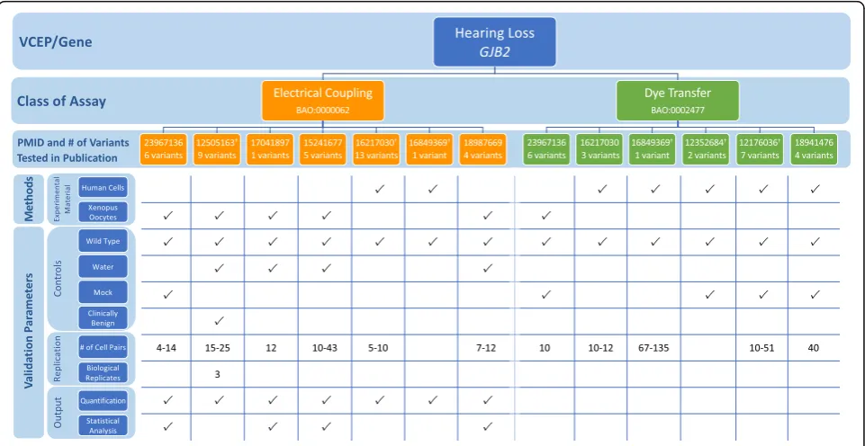 Fig. 3 Representative findings from the curation of specific instances of GJB2 functional assays