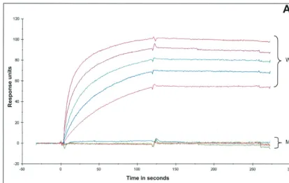 FIG. 1. Characterization of the mutated epitope and the mutant virus. (A) Biacore speciﬁc binding curves